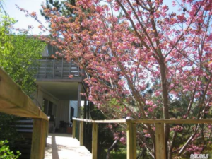 C133 Harbor Walk