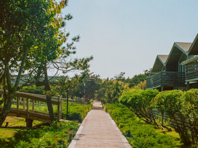 Fire Island Pines